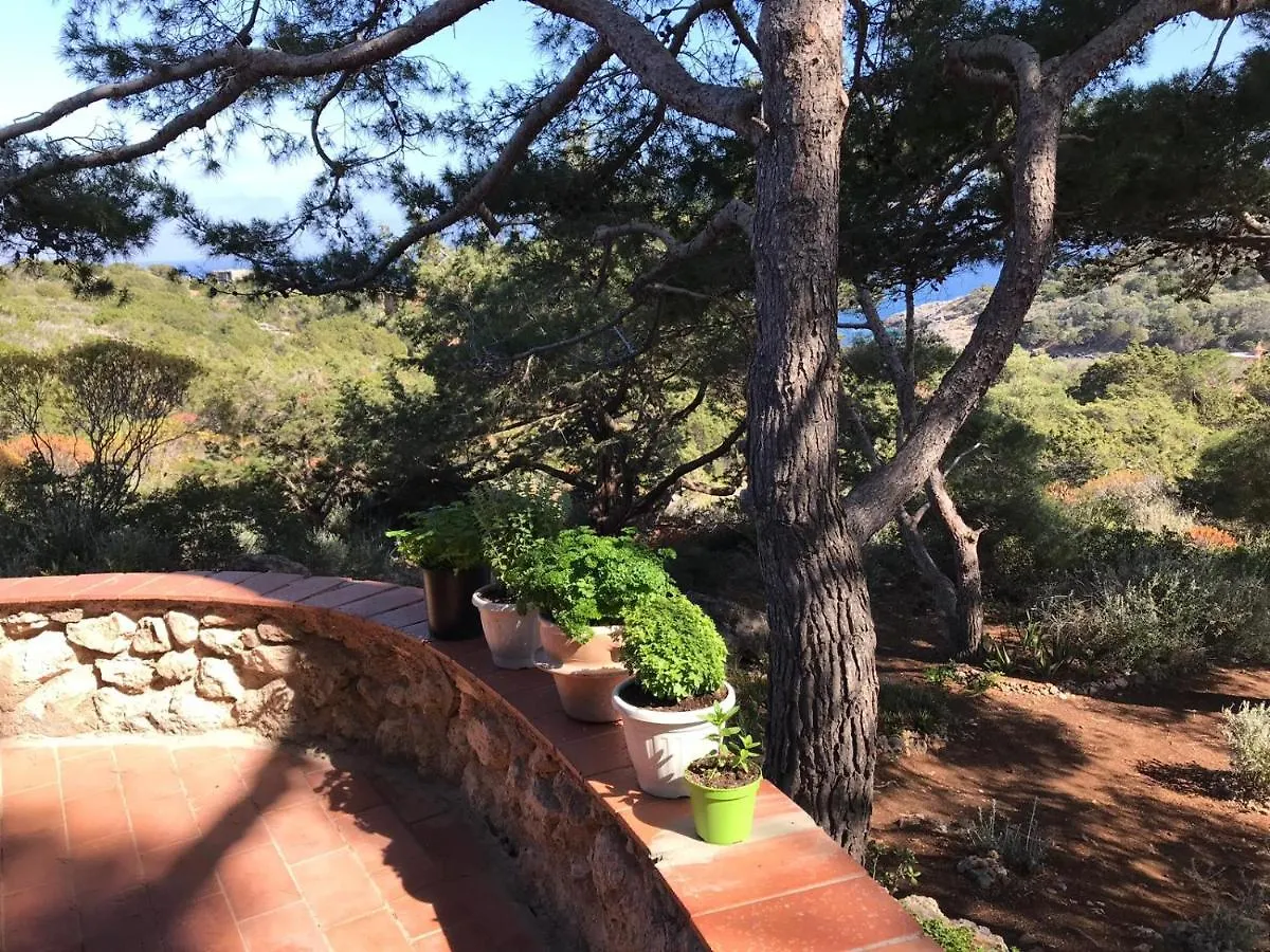 Casa Diana Bed & Breakfast Isola di Giannutri Italy